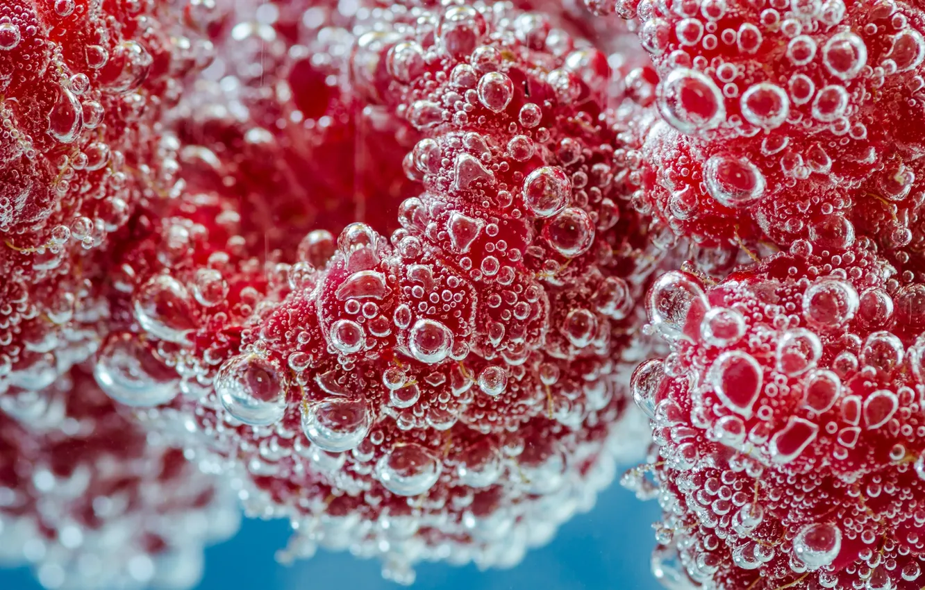 Photo wallpaper water, macro, bubbles, berries, raspberry