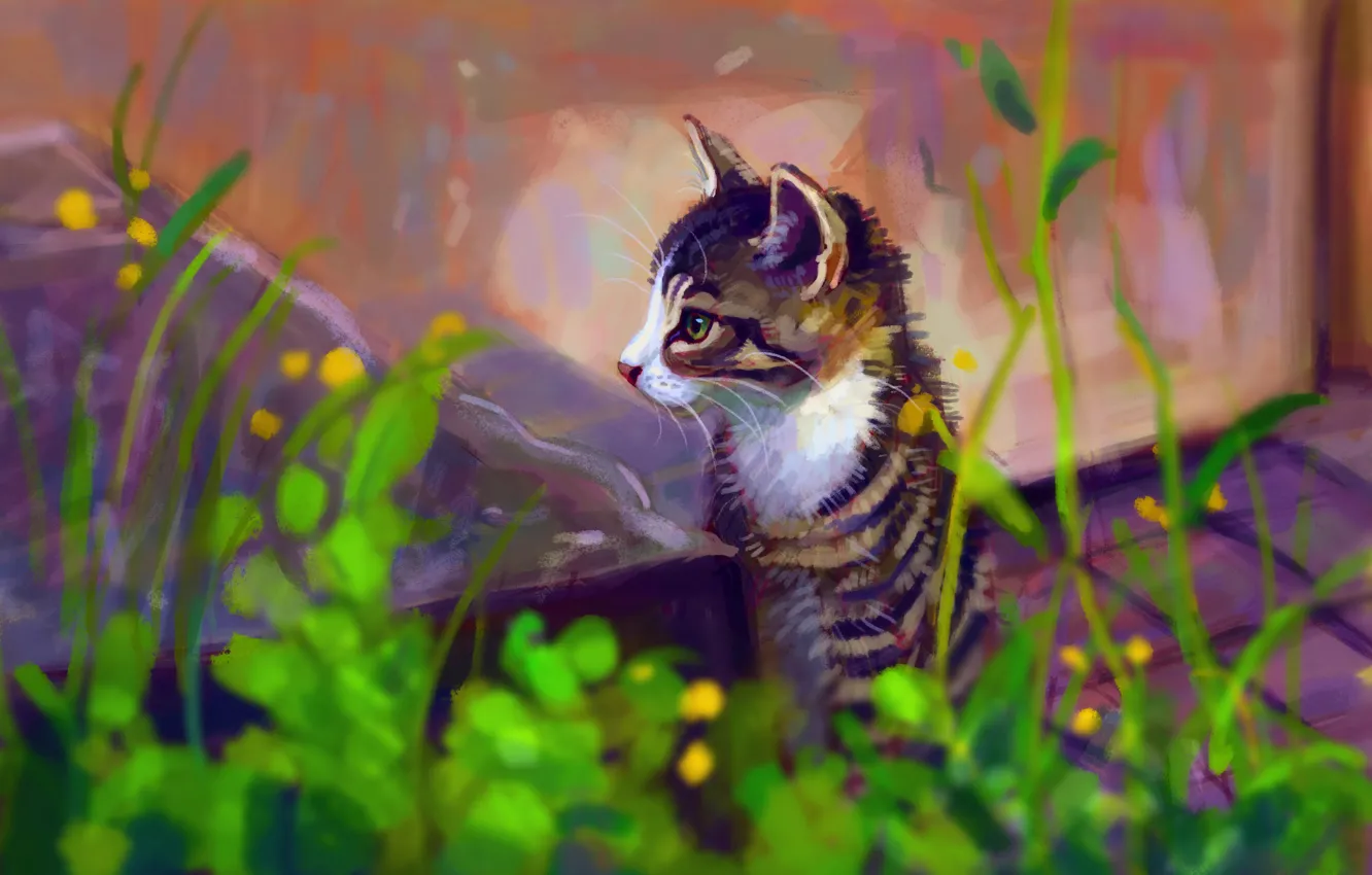 Photo wallpaper kitty, sitting, by Meorow