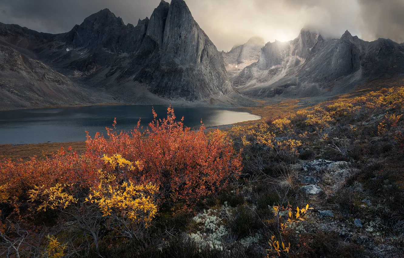 Photo wallpaper autumn, mountains, lake, rocks, shore, foliage, the bushes, pond