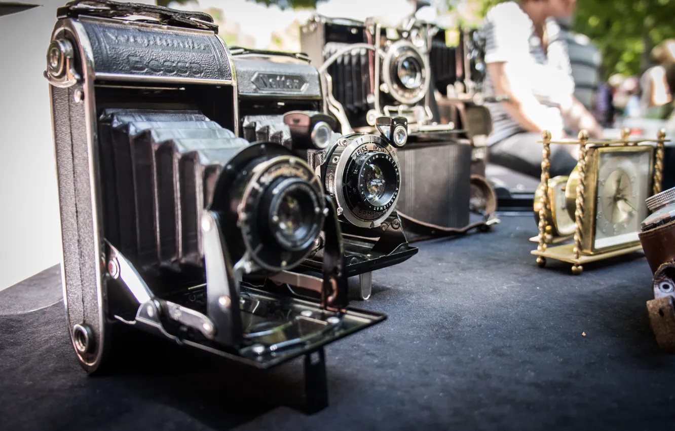 Photo wallpaper macro, background, camera