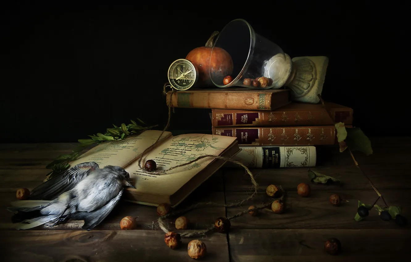 Photo wallpaper bird, books, compass