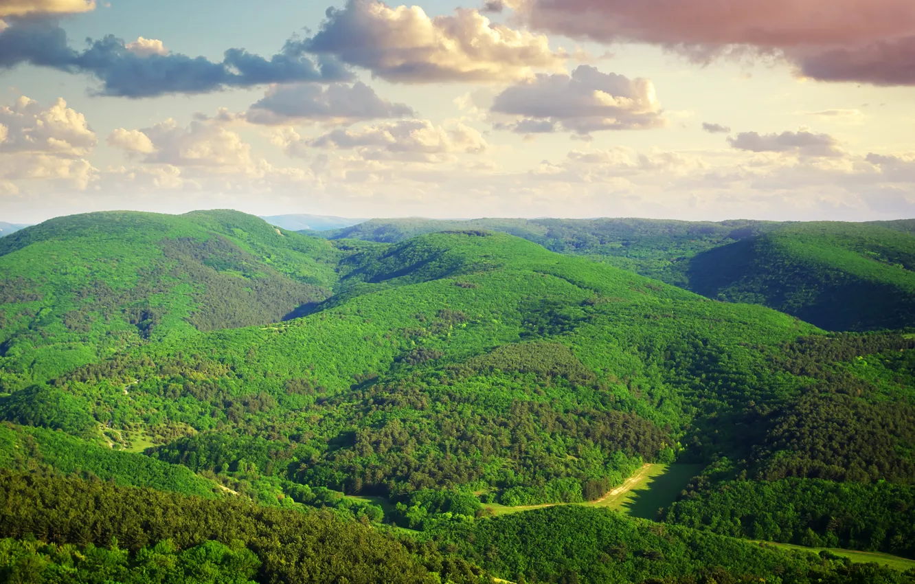 Photo wallpaper greens, the sky, clouds, trees, landscape, nature, hills