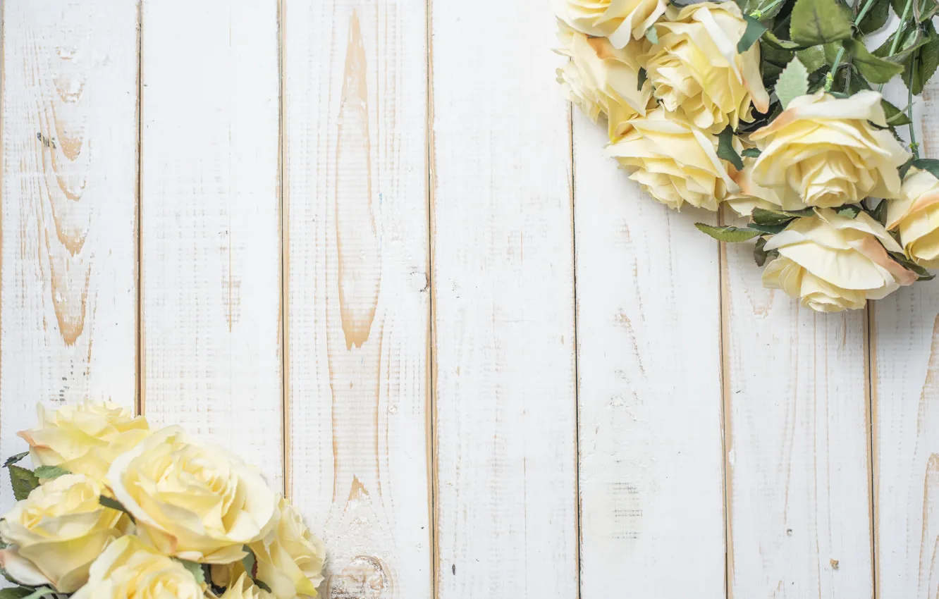Photo wallpaper table, roses, bouquet, gentle, buds, wood