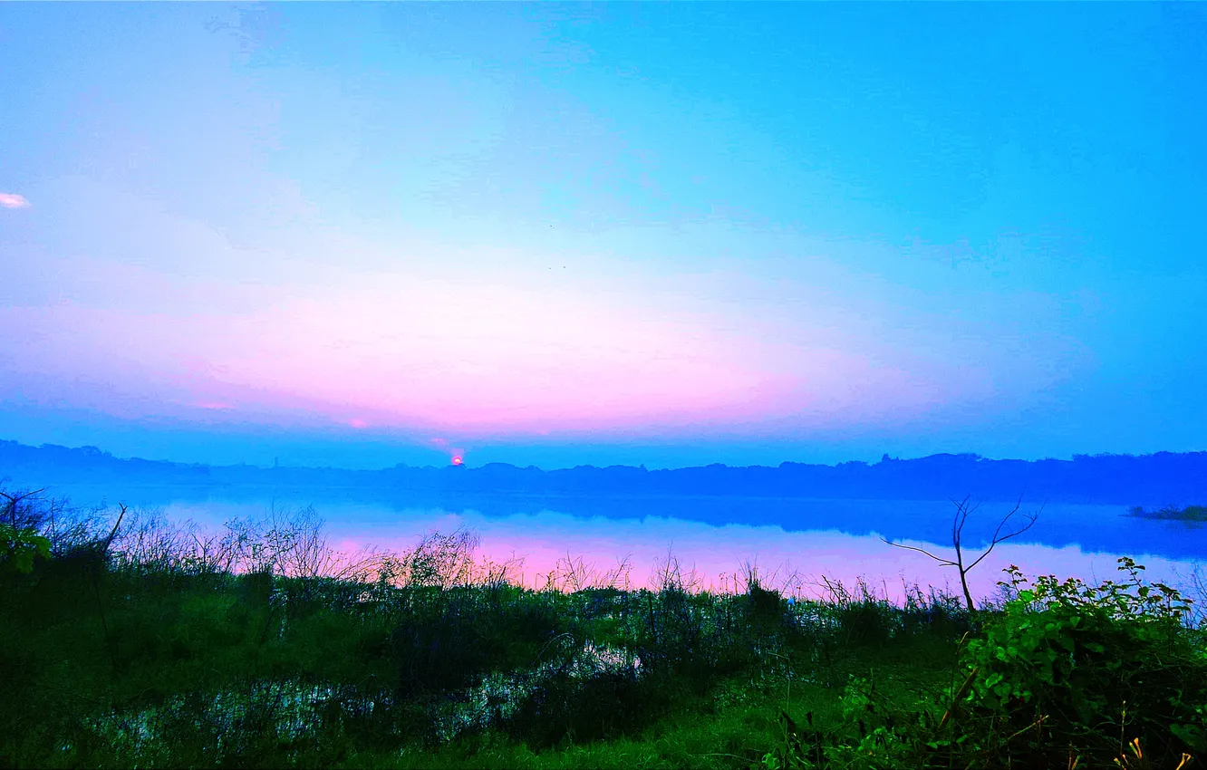 Photo wallpaper grass, sky, trees, water, lake, morning, sun, bushes