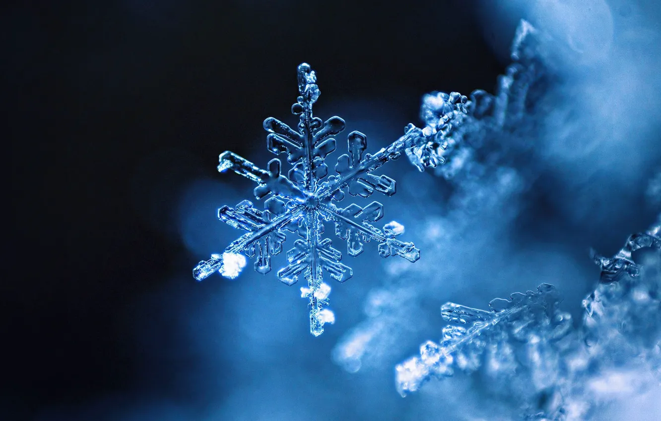 Photo wallpaper ice, winter, pattern, snowflake