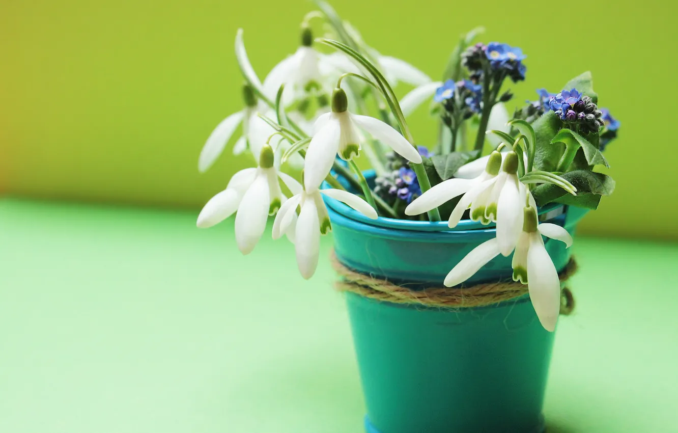 Photo wallpaper flowers, table, blue, bouquet, spring, rope, snowdrops, white
