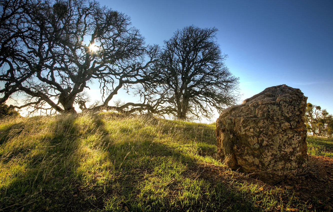 Photo wallpaper field, the sky, trees, landscape, stone, England, hdr, hill