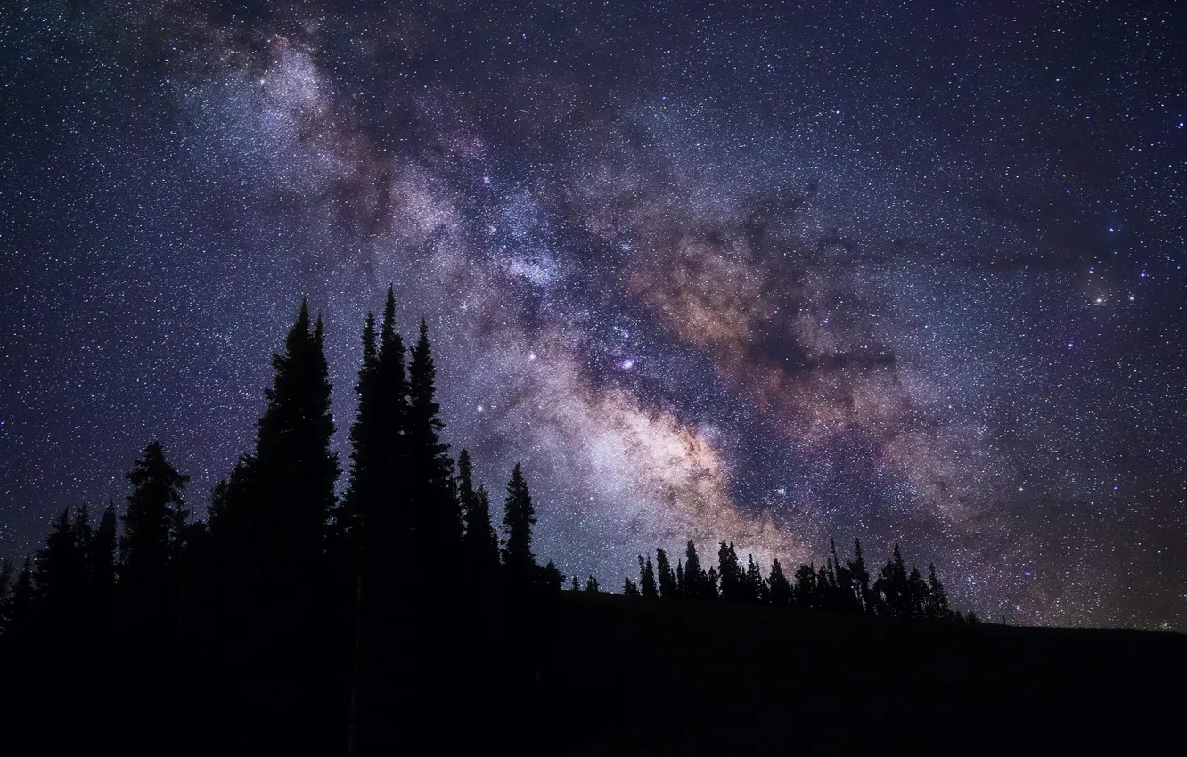 Photo wallpaper the sky, stars, trees, nature, silhouette, the Milky Way galaxy