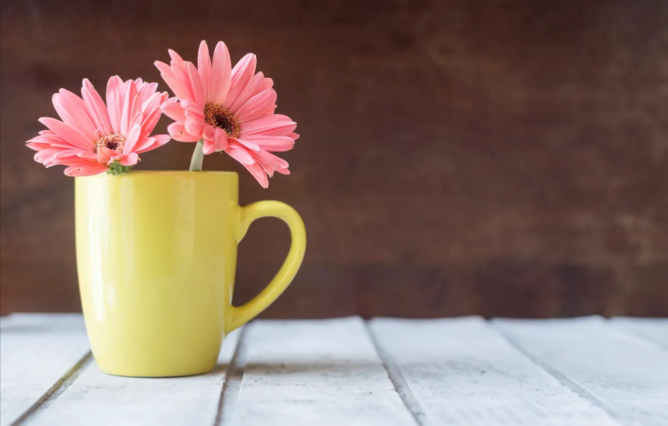 Photo wallpaper flowers, mug, chrysanthemum, wood, pink, flowers, mug