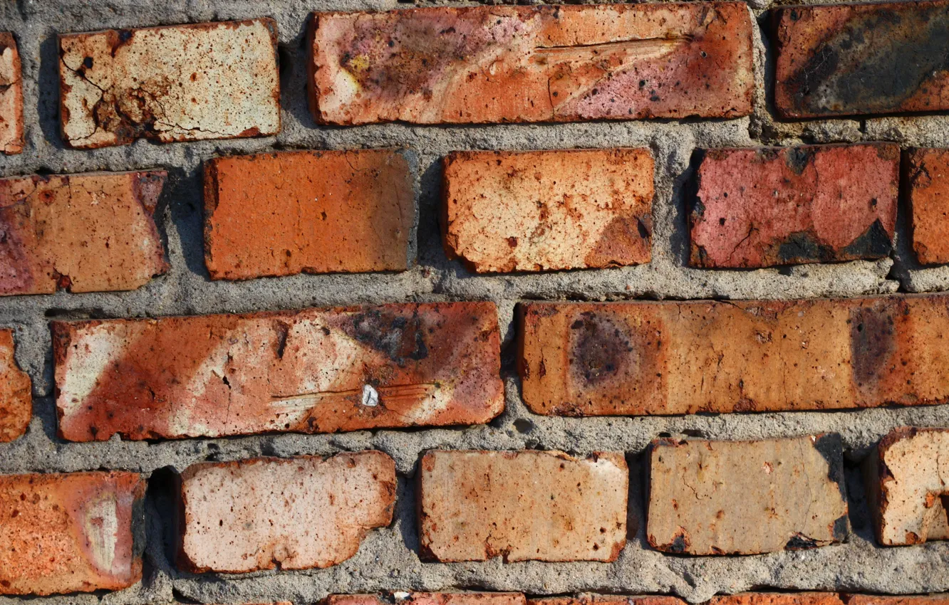 Photo wallpaper wall, texture, bricks, brick wall