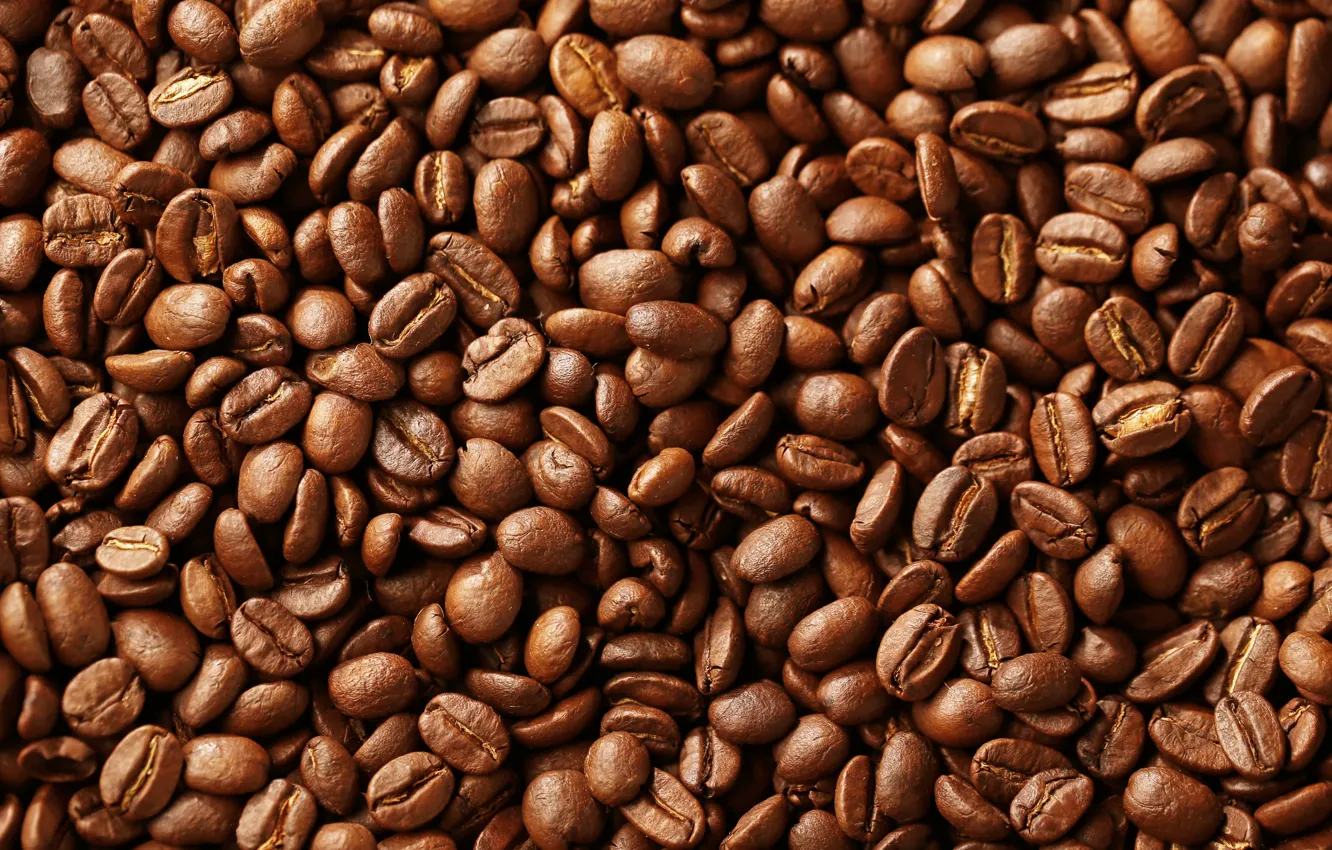 Photo wallpaper macro, coffee, grain, texture, brown