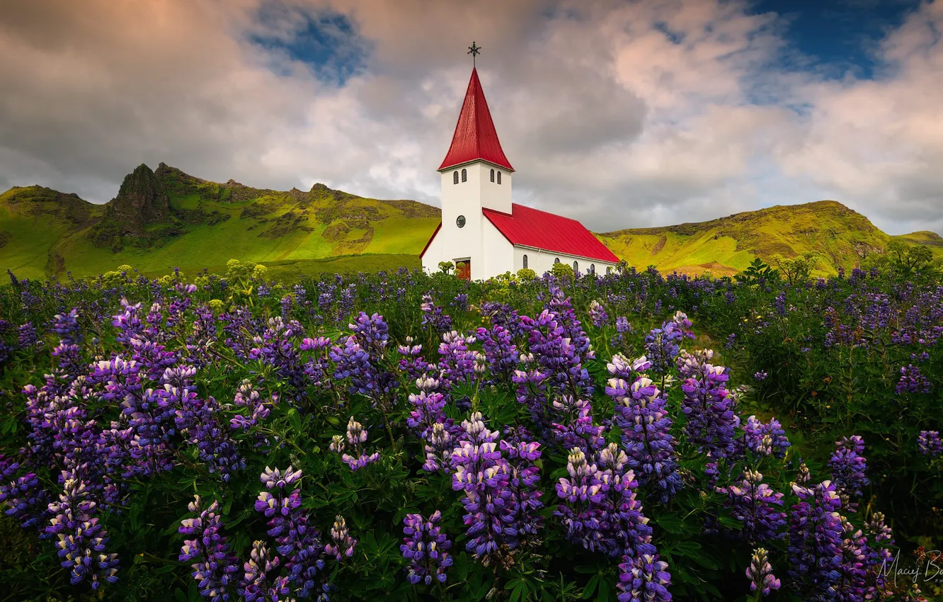 Photo wallpaper field, clouds, landscape, flowers, mountains, nature, village, Norway