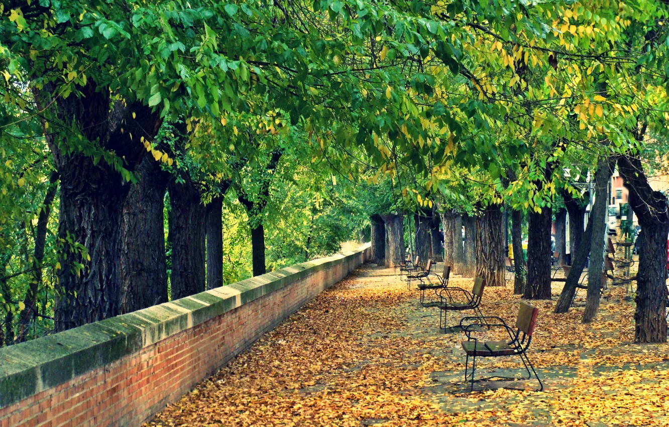 Photo wallpaper Autumn, Trees, Park, Fall, Foliage, Park, Autumn, Colors