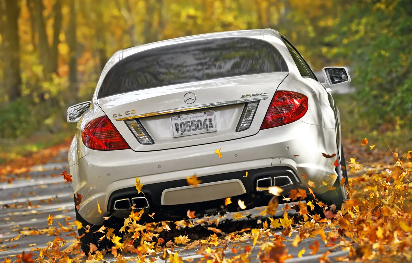 Photo wallpaper autumn, white, leaves, trees, Mercedes-Benz, speed, supercar, Mercedes