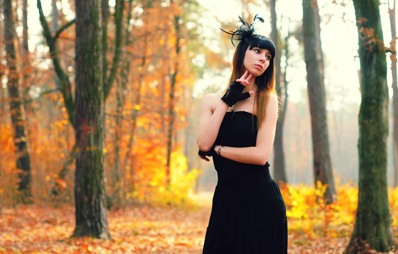 Photo wallpaper autumn, forest, look, girl, light, trees, pose, style