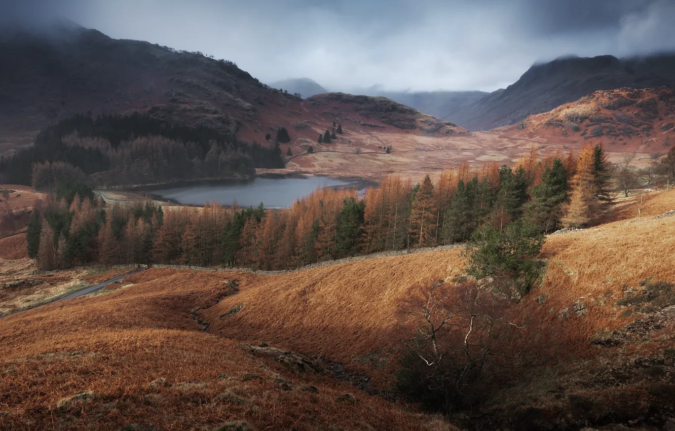 Photo wallpaper autumn, trees, mountains, hills