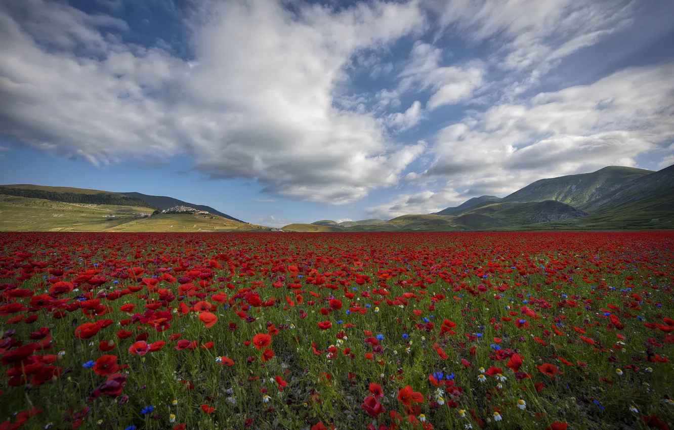 Photo wallpaper field, summer, the sky, clouds, flowers, mountains, hills, Maki