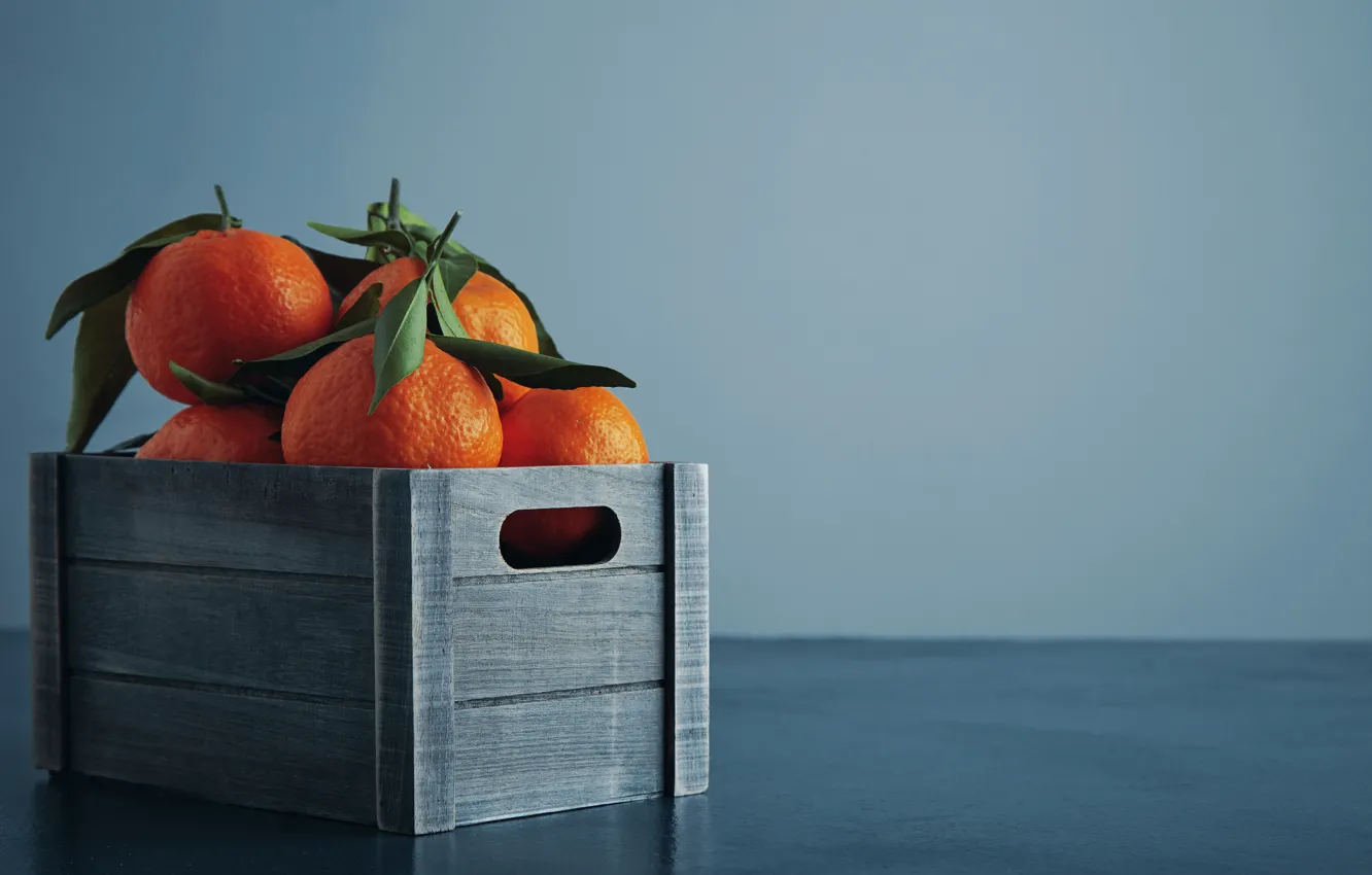 Photo wallpaper leaves, citrus, box, blue background, composition, tangerines