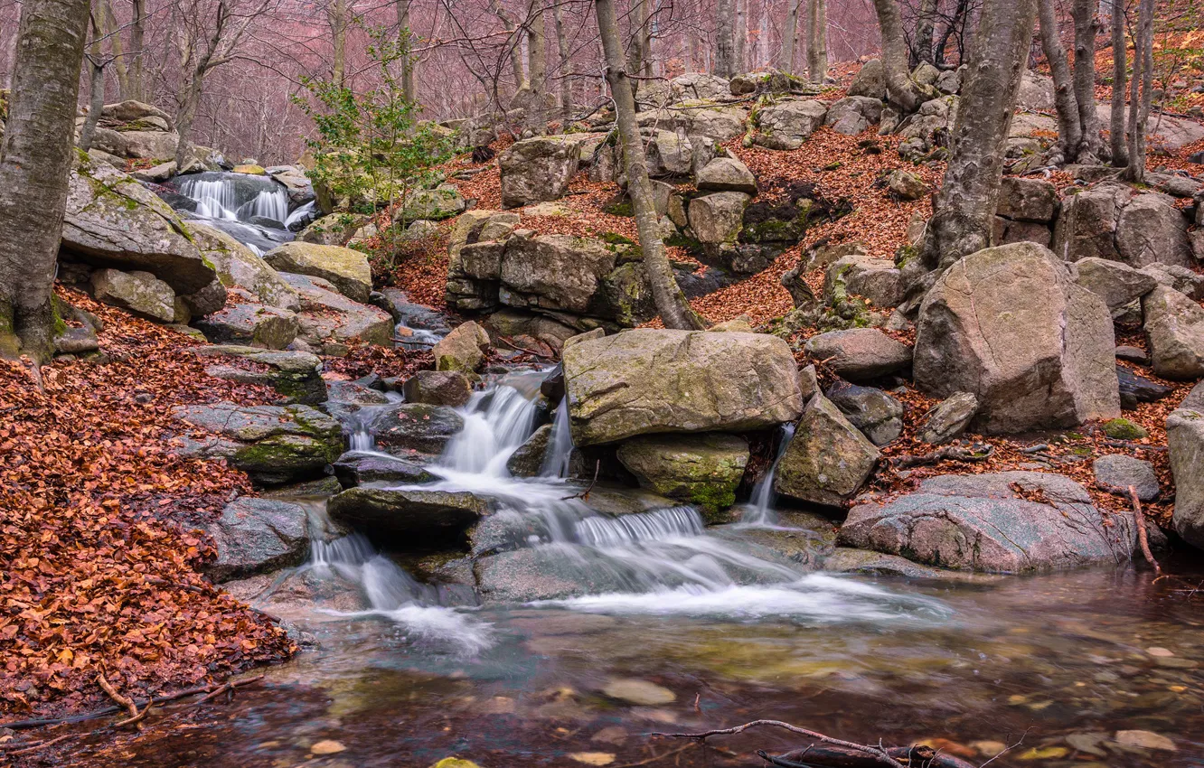Photo wallpaper forest, stones, river, Spain, Spain, Catalonia, Monsen, Montseny