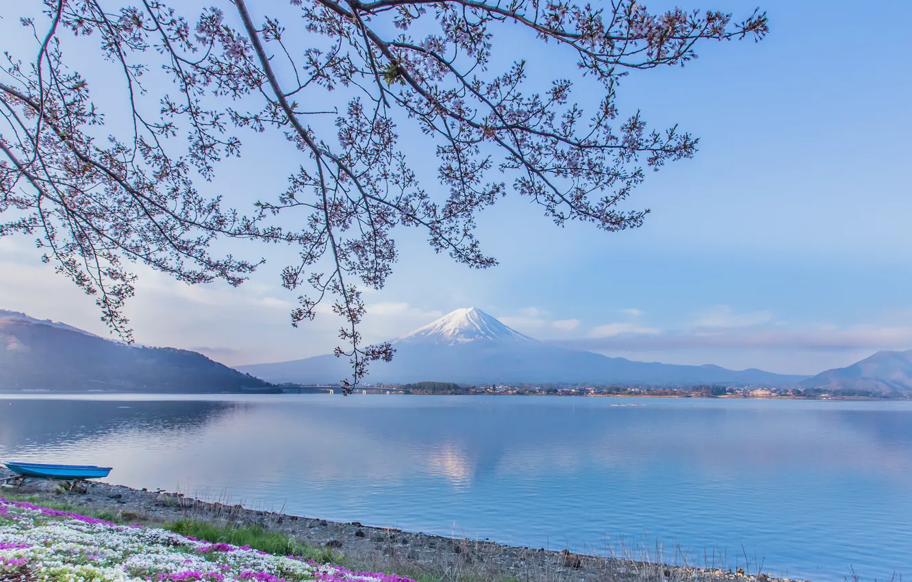 Photo wallpaper flowers, branches, lake, boat, mountain, the volcano, Japan, Fuji