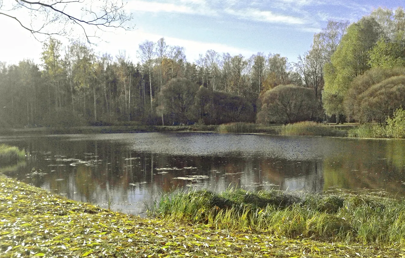 Photo wallpaper autumn, pond, Park, 2022