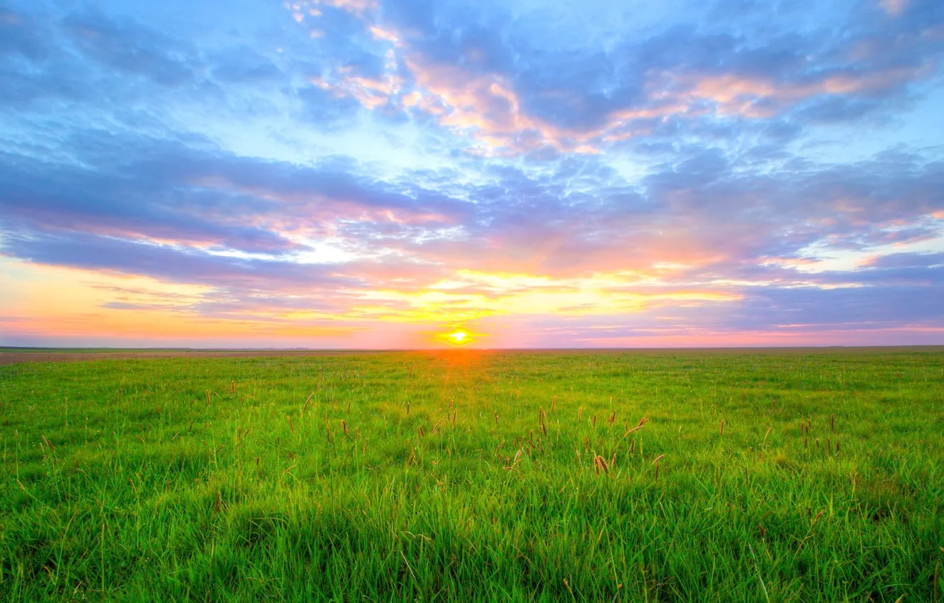 Photo wallpaper field, dawn, morning