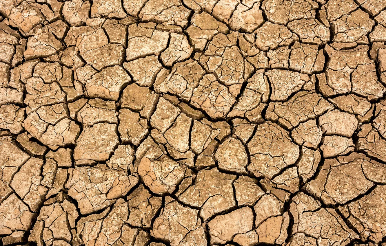 Photo wallpaper Earth, soil, agriculture