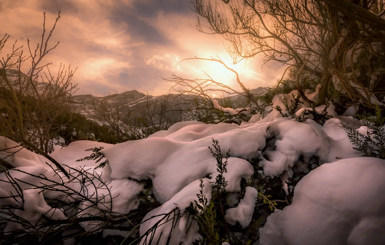 Photo wallpaper winter, the sky, the sun, light, snow, trees, mountains, branches