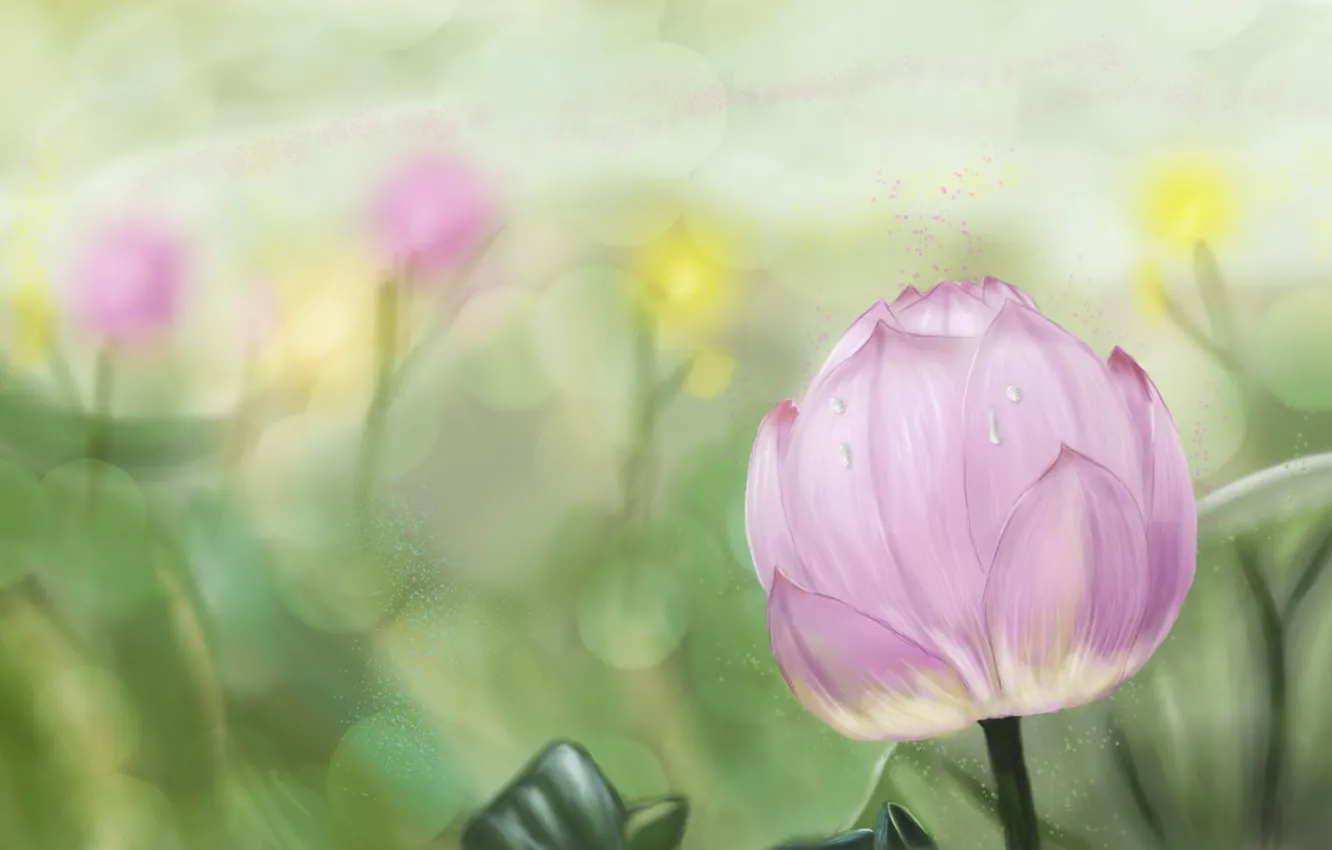 Photo wallpaper leaves, drops, pond, art, Lotus, water Lily