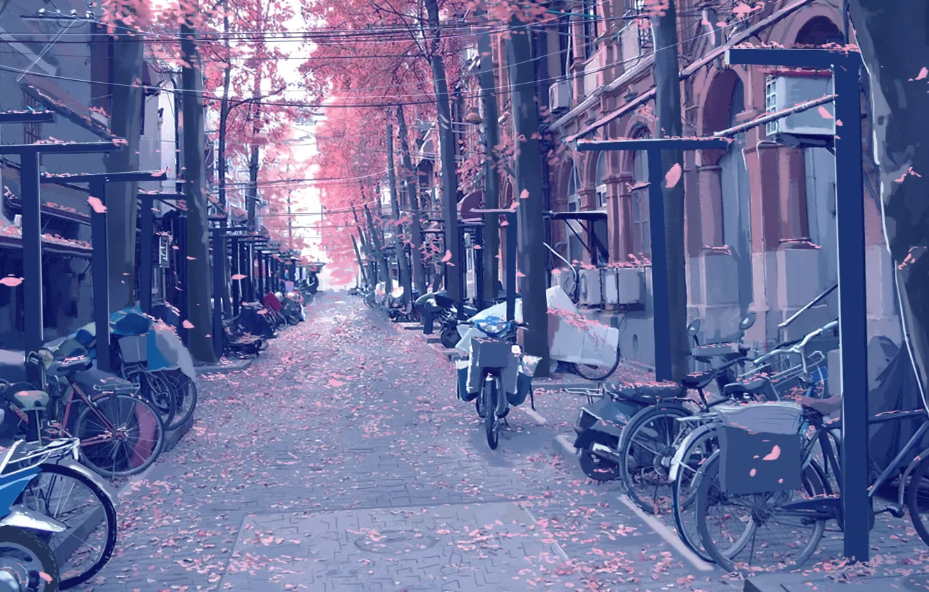 Photo wallpaper motorcycles, street, posts, wire, pavers, petals, art, bikes