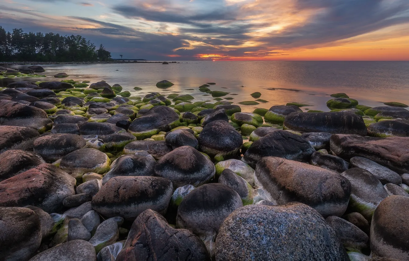 Photo wallpaper sea, landscape, sunset, nature, stones, shore, Estonia