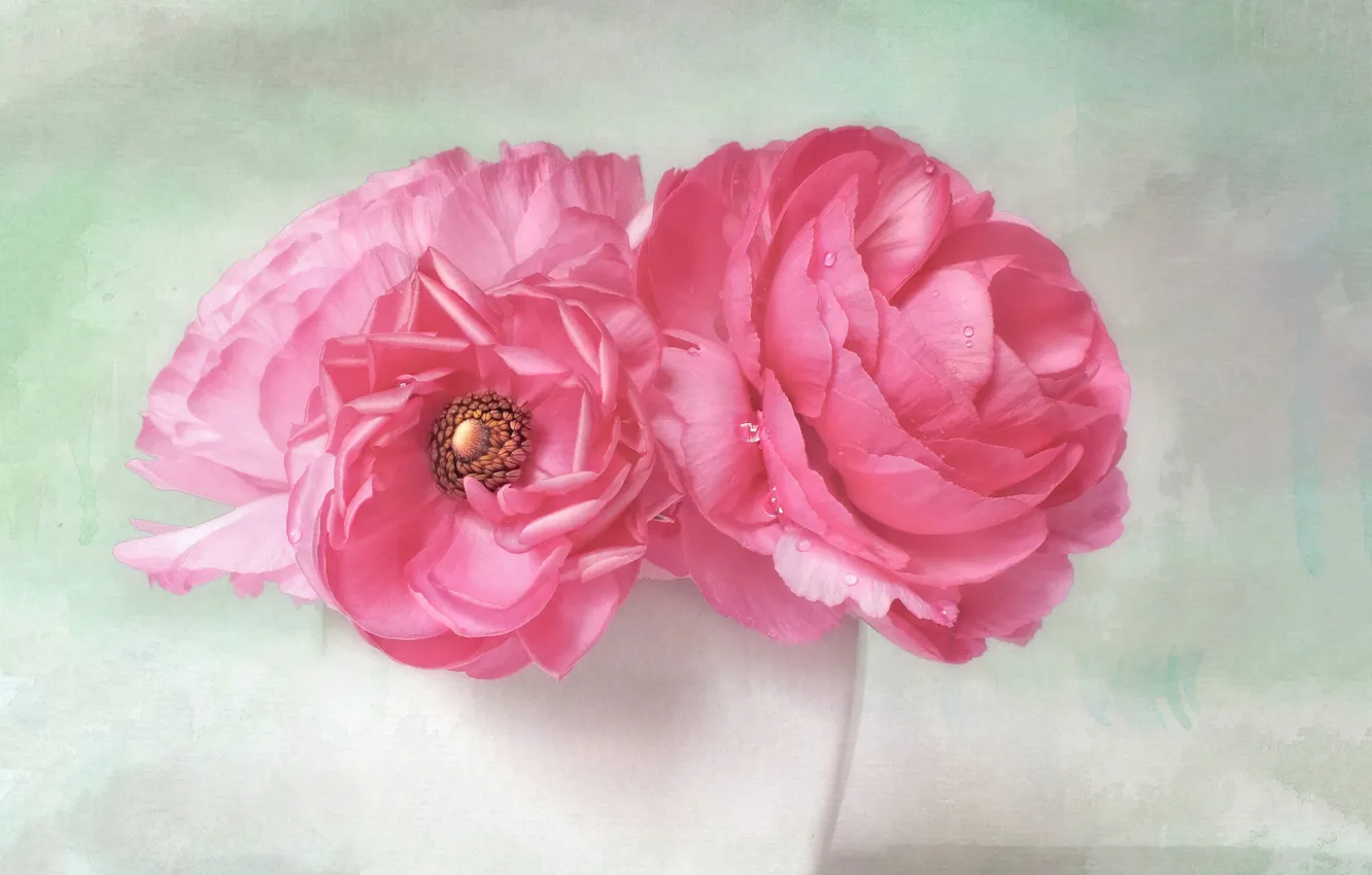 Photo wallpaper drops, flowers, background, bouquet, petals, art, vase, pink