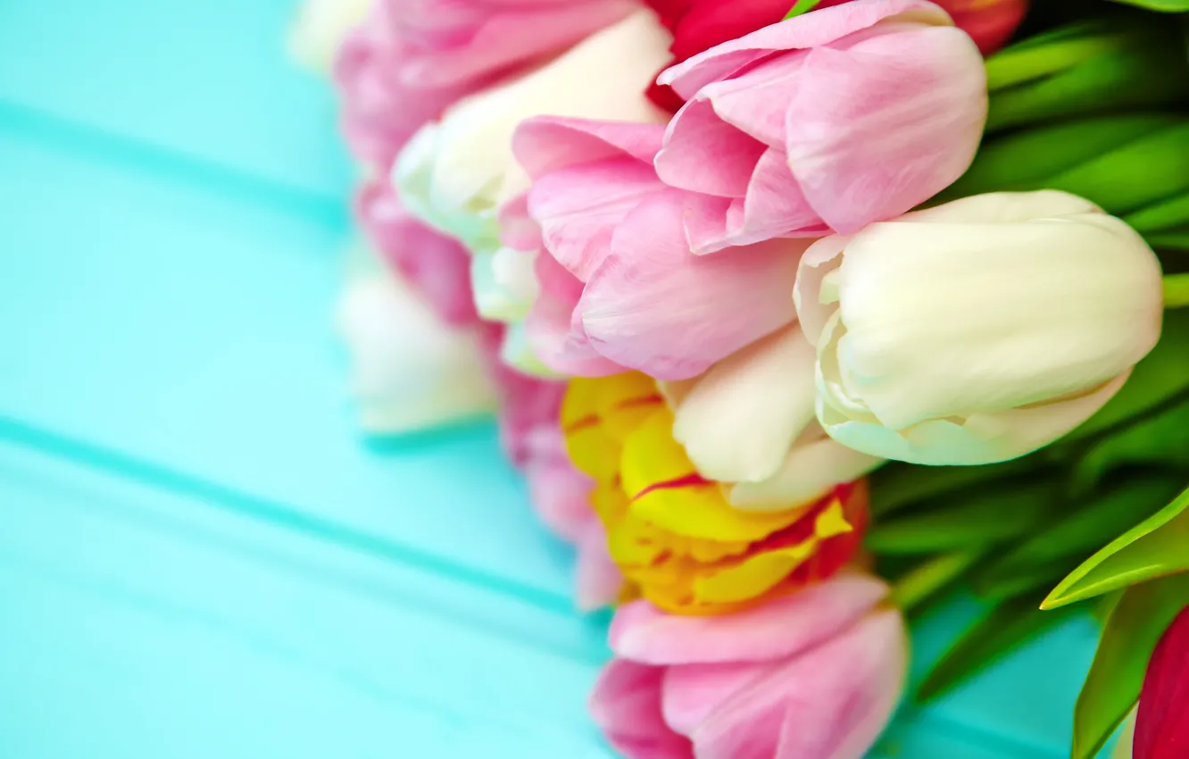 Photo wallpaper flowers, bouquet, spring, colorful, tulips, fresh, pink, flowers