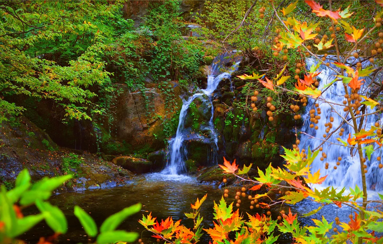 Photo wallpaper autumn, leaves, stones, waterfall, colors, autumn, leaves, waterfall
