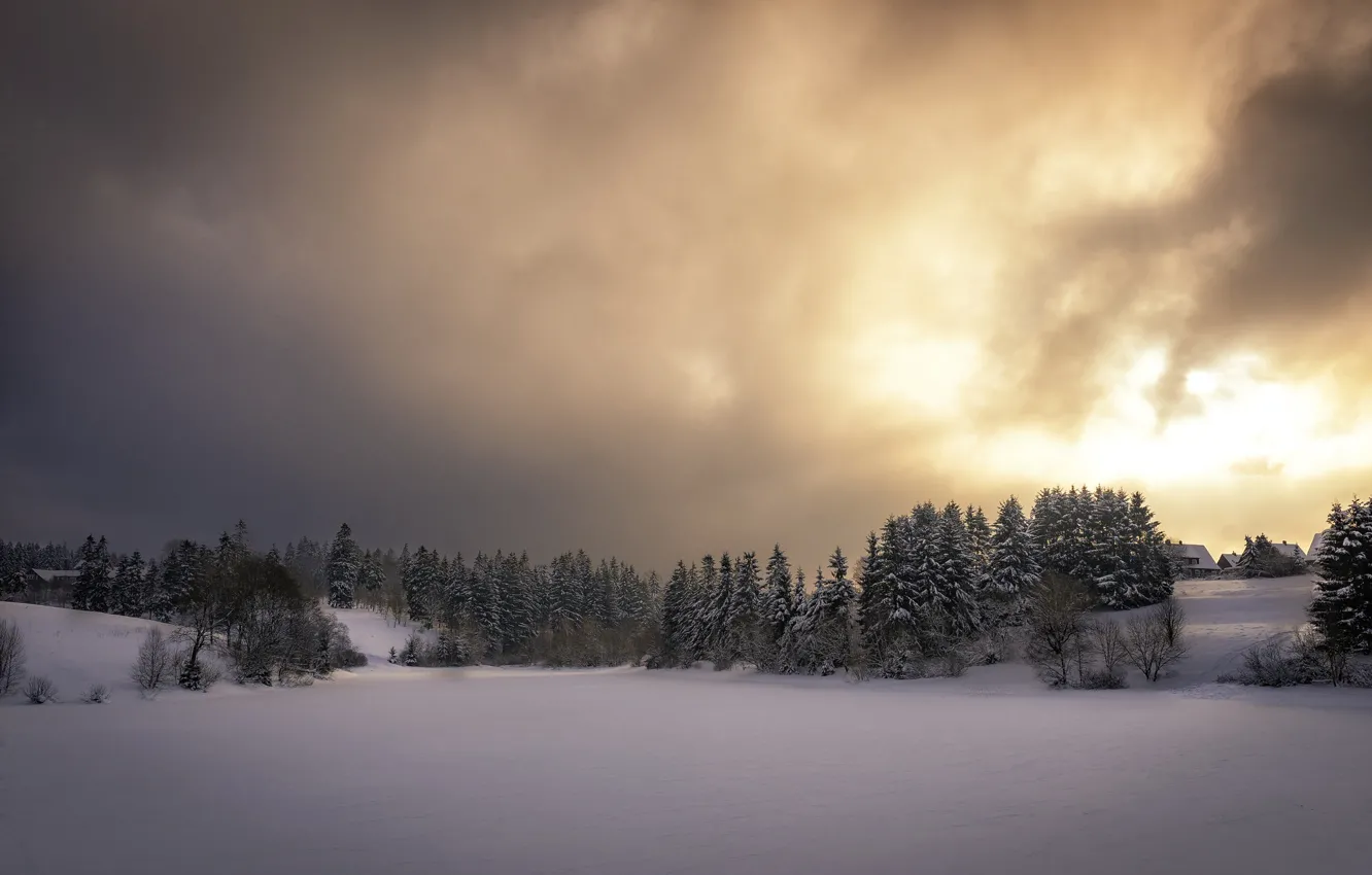 Photo wallpaper winter, the sky, snow, sunset, nature