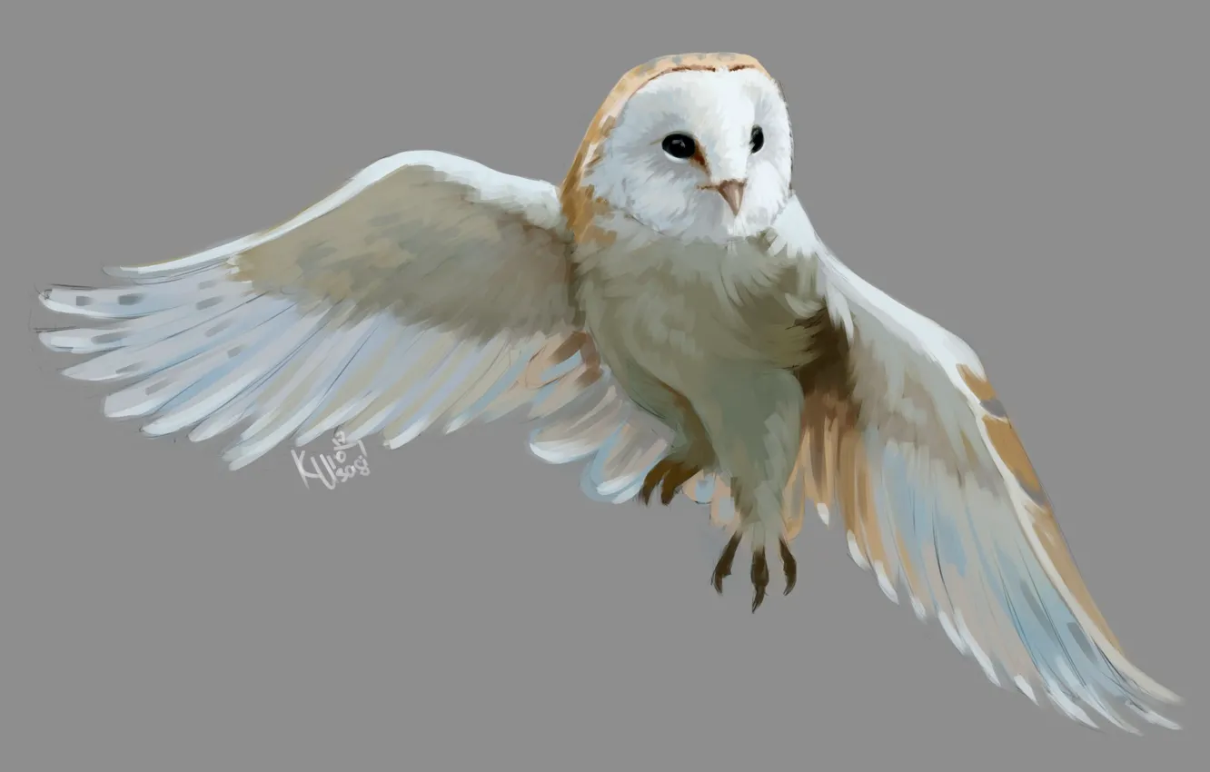 Photo wallpaper owl, bird, art, flight