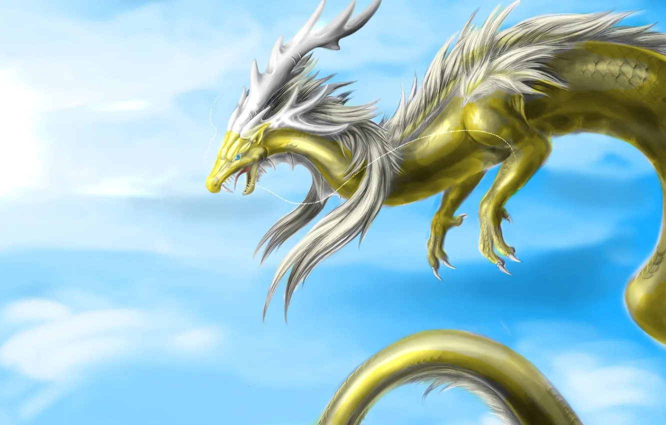 Photo wallpaper the sky, look, flight, fiction, dragon, mouth, horns