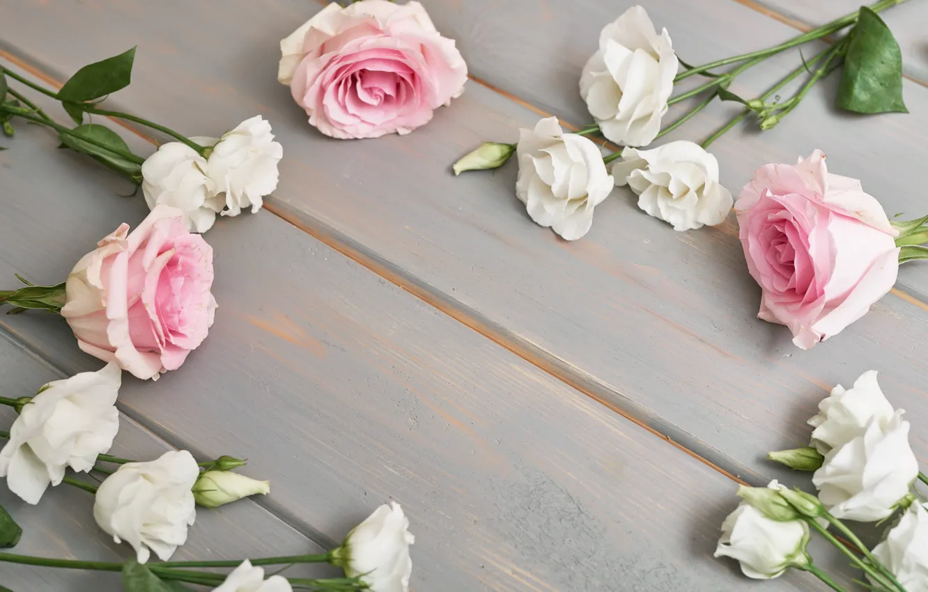 Photo wallpaper background, roses, eustoma