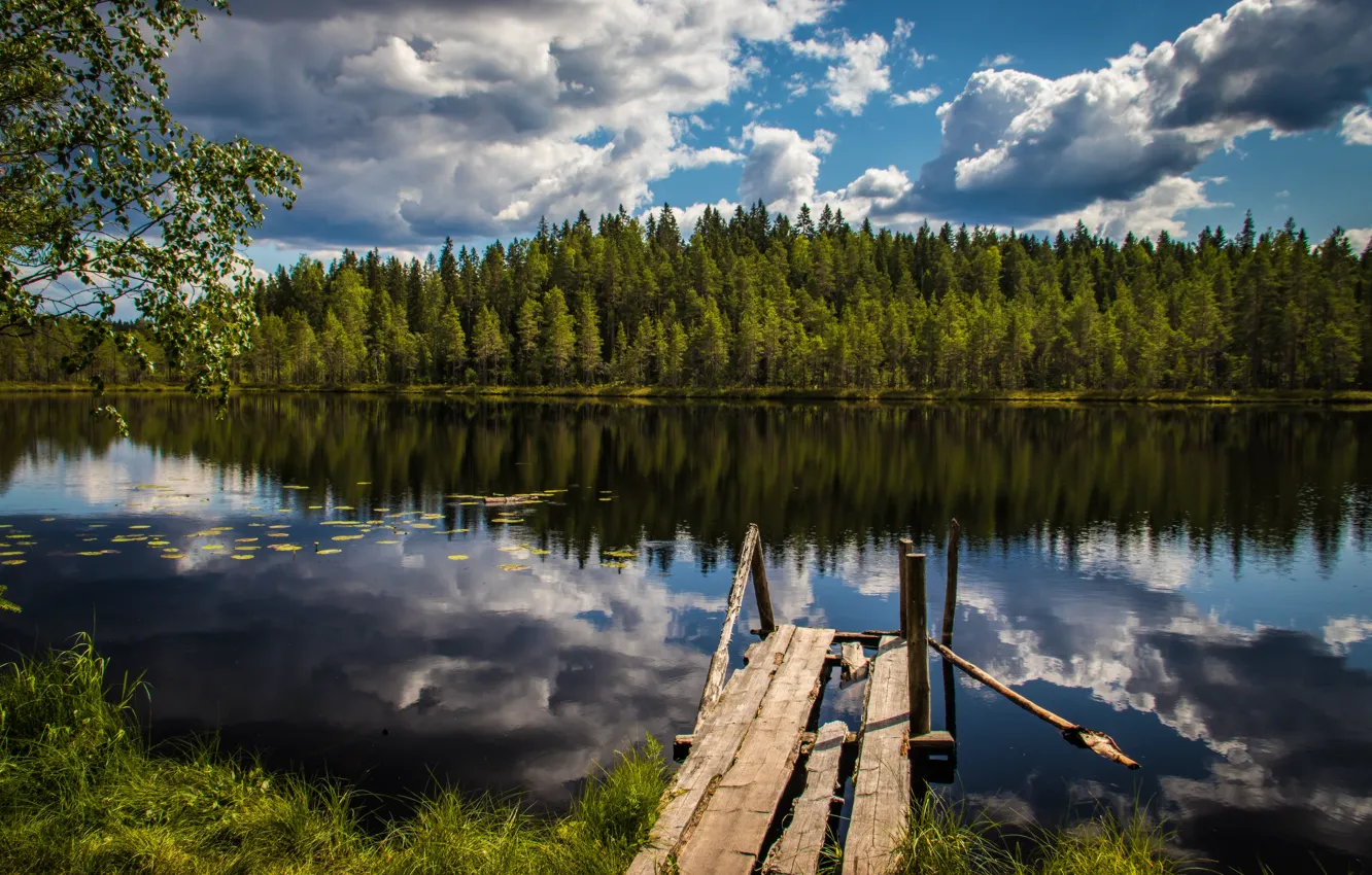 Photo wallpaper forest, lake, reflection, Board, bridges, Finland, Finland, Seitseminen National Park