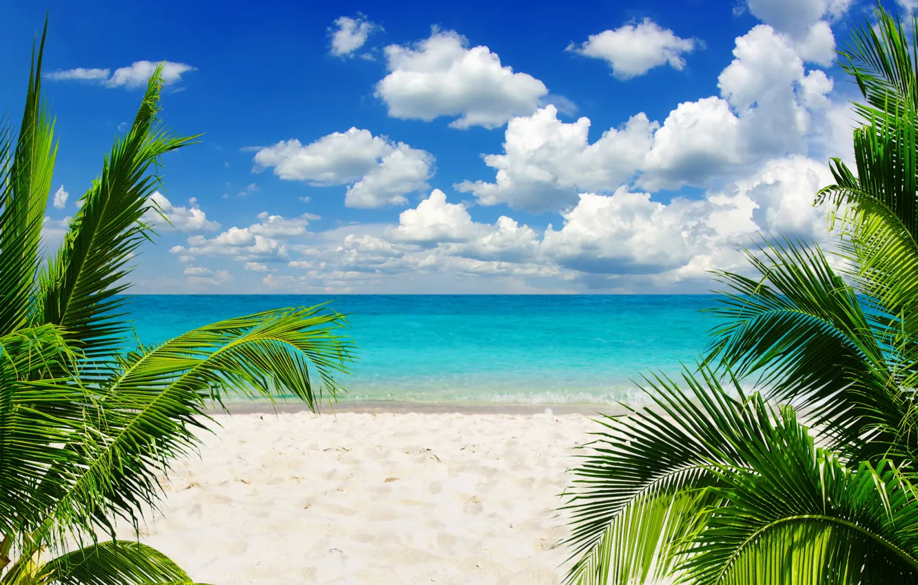 Photo wallpaper sand, sea, beach, the sky, the sun, tropics, palm trees, the ocean