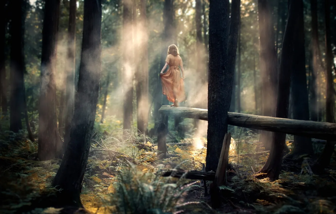 Photo wallpaper forest, girl, fog, mood