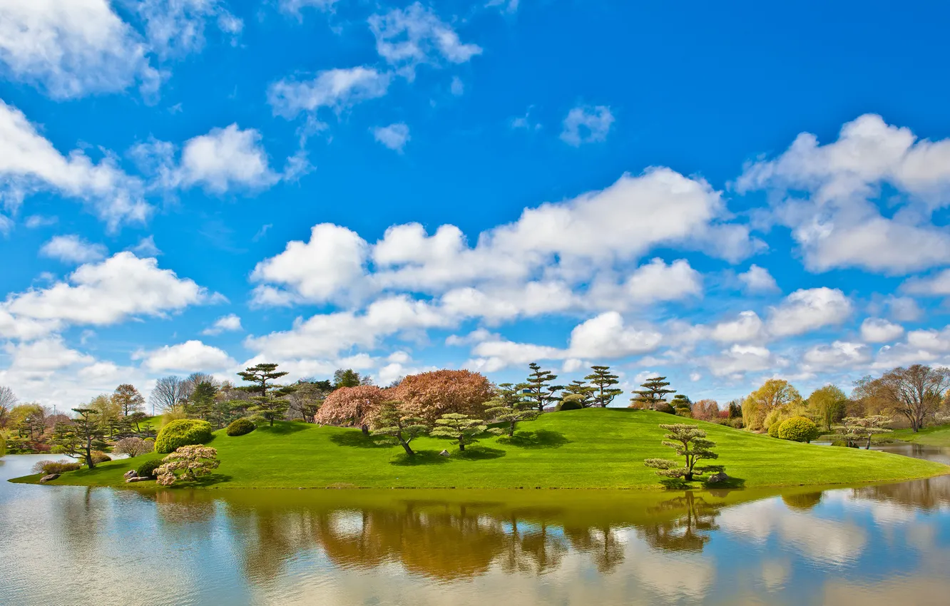 Photo wallpaper the sky, grass, clouds, trees, lake, pond, Park