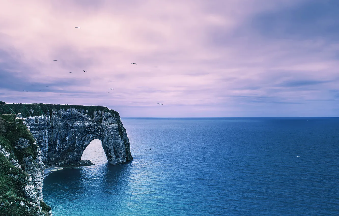 Photo wallpaper sea, rocks, bird