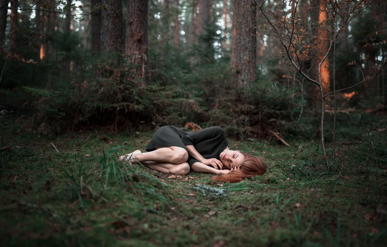 Photo wallpaper forest, girl, sleep, Alexander Kurennoy