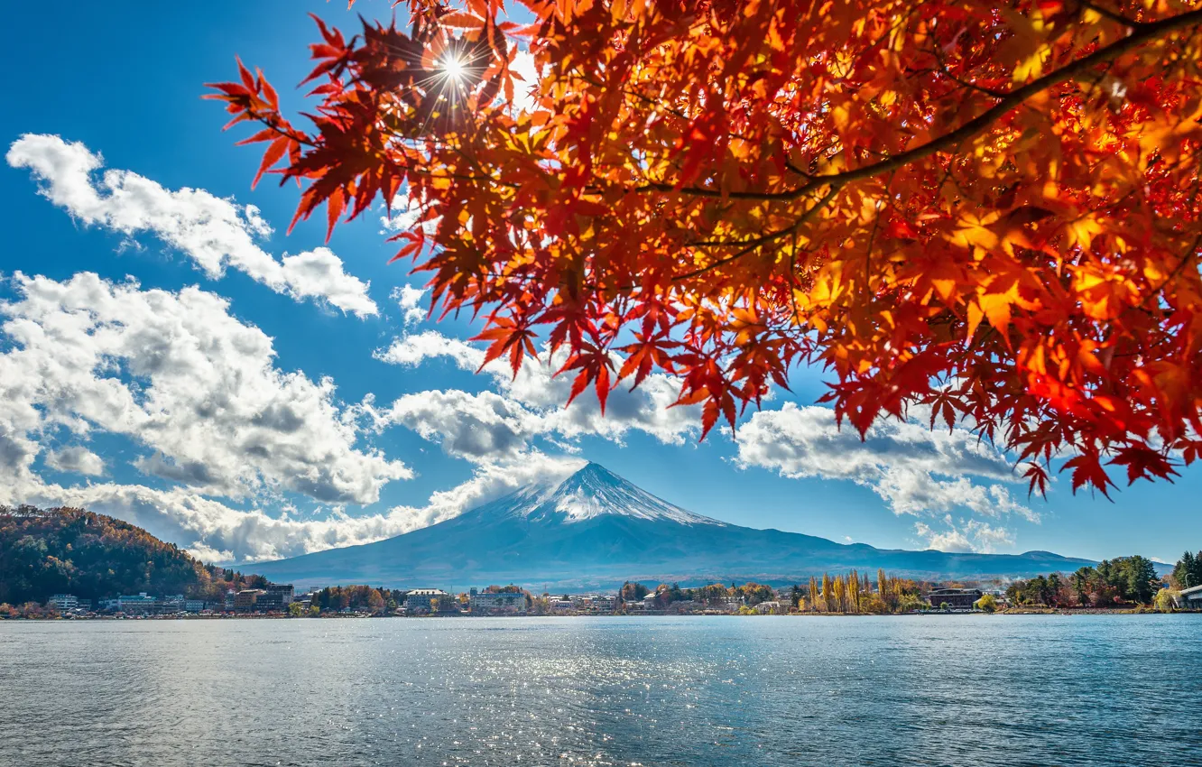 Photo wallpaper autumn, leaves, lake, Japan, Japan, mount Fuji, landscape, autumn