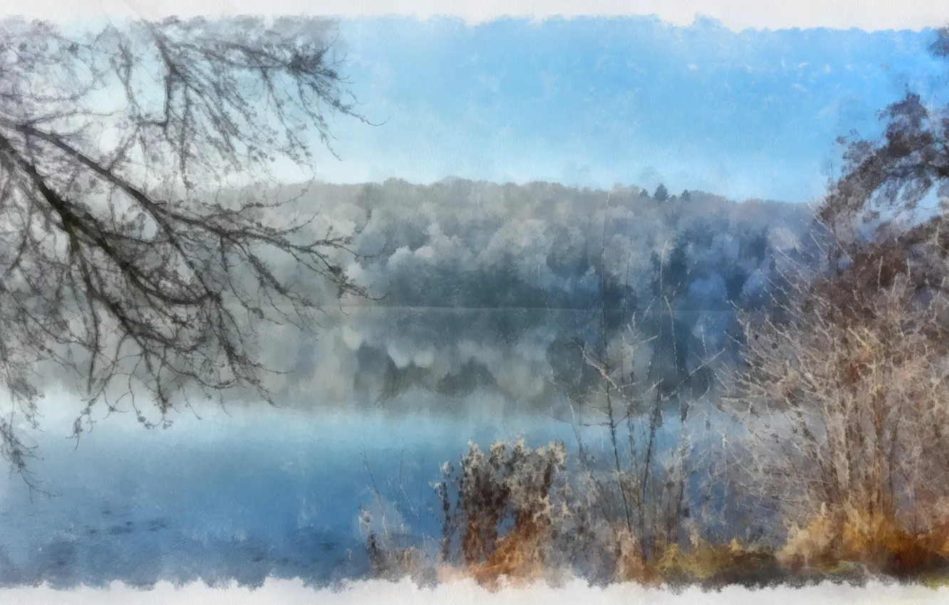 Photo wallpaper winter, water, branches, lake, the bushes