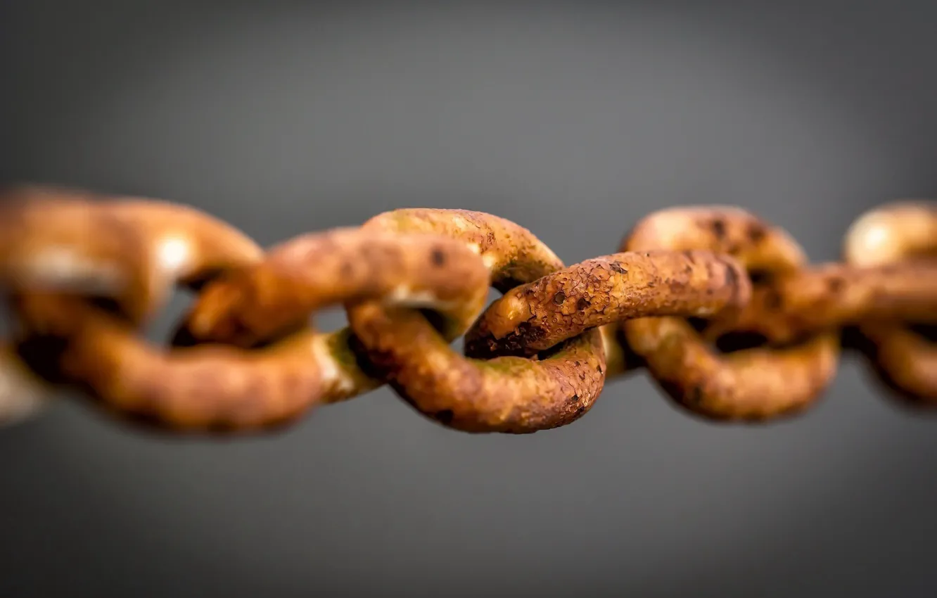 Photo wallpaper macro, rust, chain