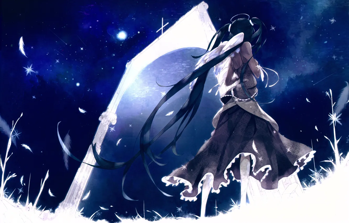 Photo wallpaper grass, stars, night, back, wings, cross, feathers, gate