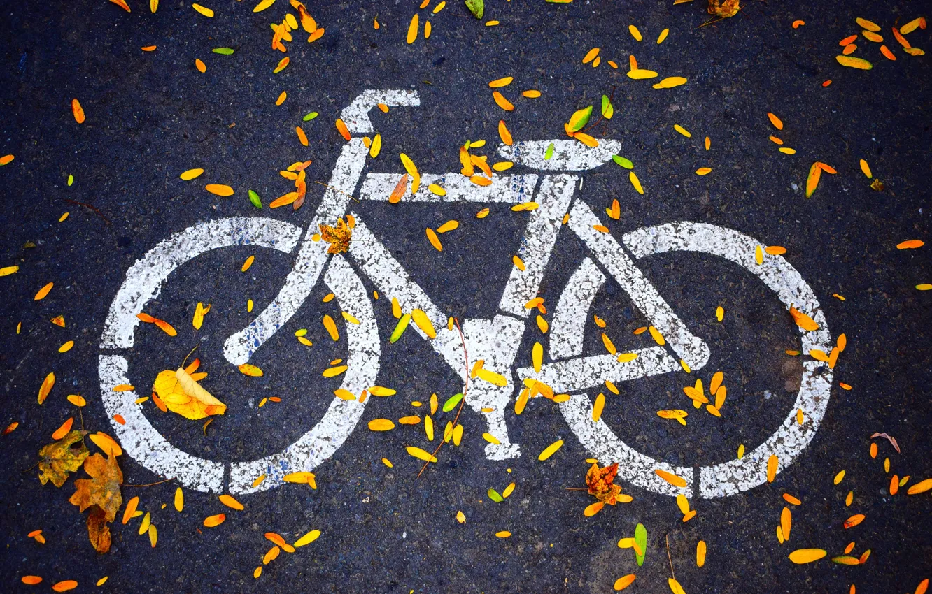 Photo wallpaper autumn, asphalt, HDR, the sidewalk, bike path, drawing on asphalt, velospeed, the leaves on the …