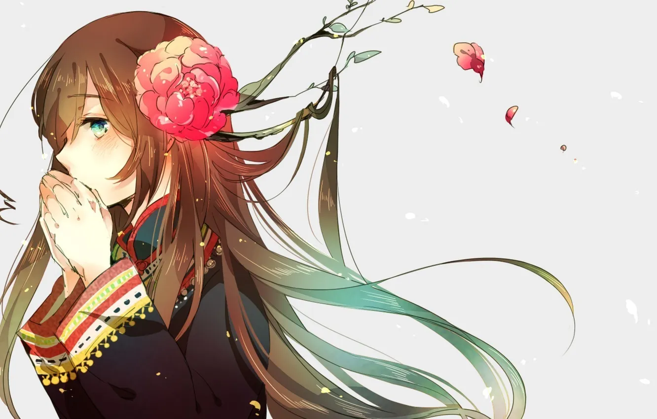 Photo wallpaper flower, look, girl, petals, brown hair, Taiwan, Axis Powers: Hetalia, Kamitsuki